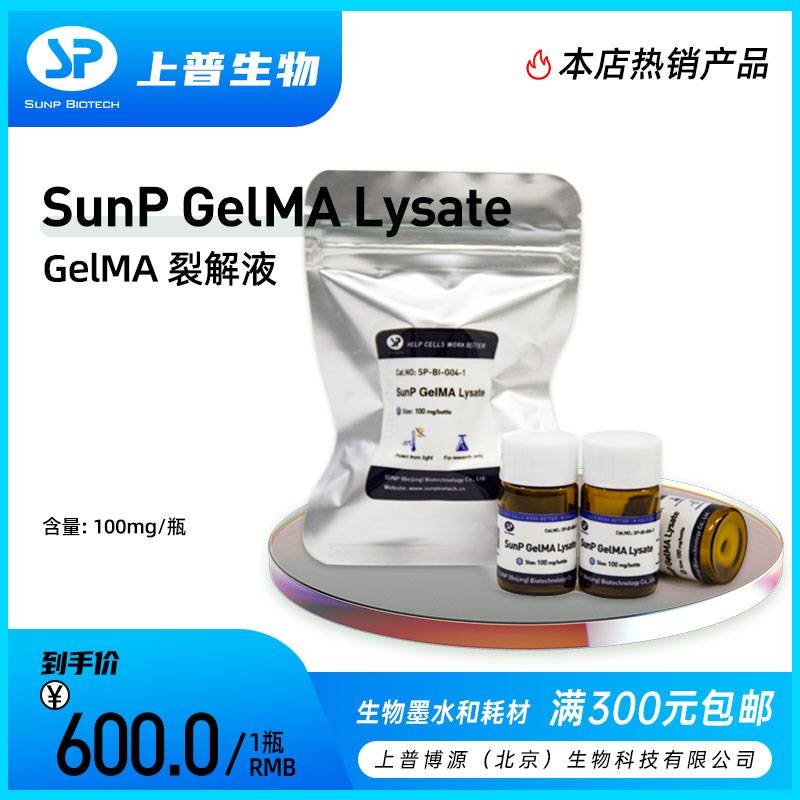 ղԴ | SunP GelMA Lysate  GelMAѽҺ 3Dӡ